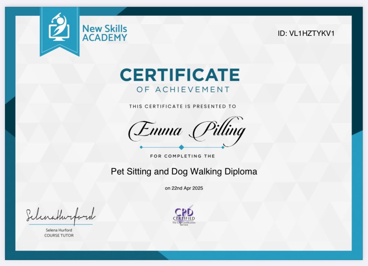 Pet Sitting and Dog Walking Diploma from New Skills Academy